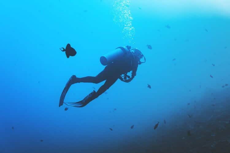 scuba diving every day?