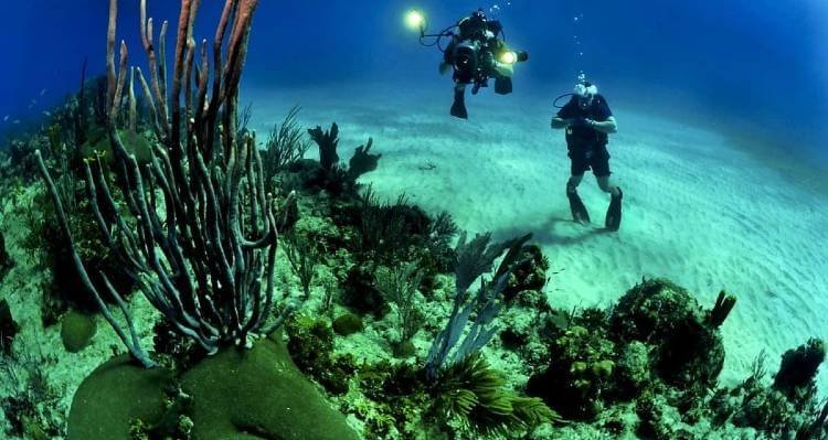 exploring underwater