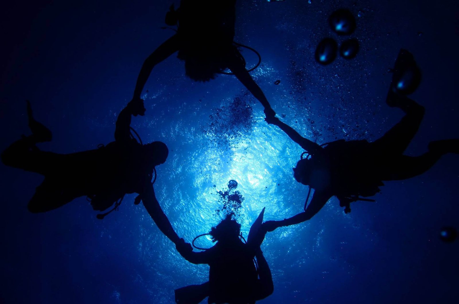 scuba divers swimming