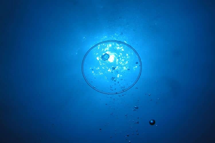 underwater bubble ring