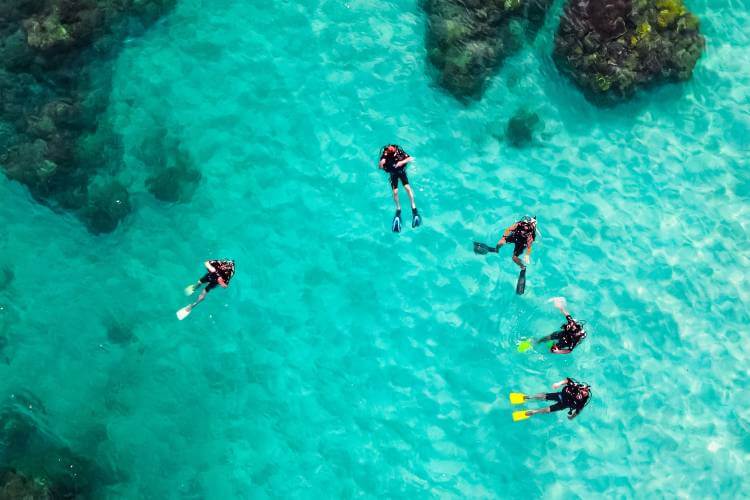 what to wear scuba diving in warm water
