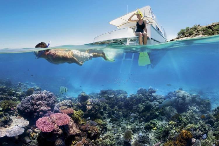 Is Neutrogena Sunscreen Reef Safe? Diving Lore