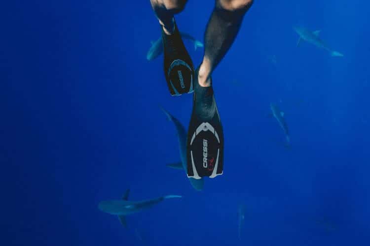 diving fins for beginners