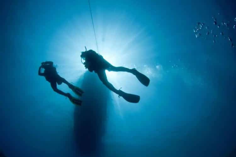 fins for strong currents