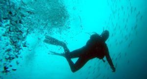 No Decompression Limit (NDL) Guide - Diving Lore