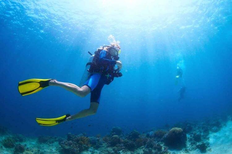 scuba diver with fins