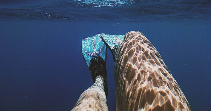 legs with fins underwater