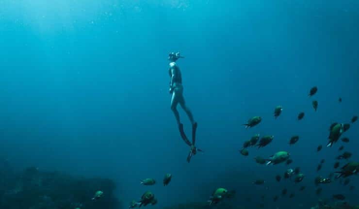 difference between freediving and skin diving