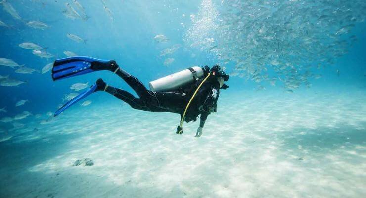 dive fins vs. snorkel fins