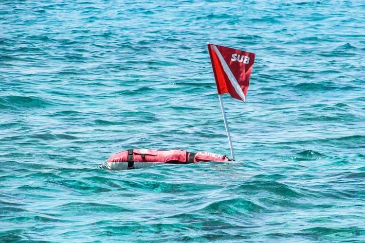 diving surface marker buoy