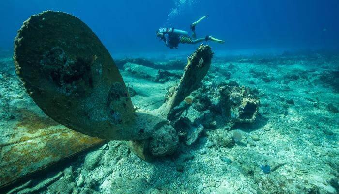 diving at banco chinchorro