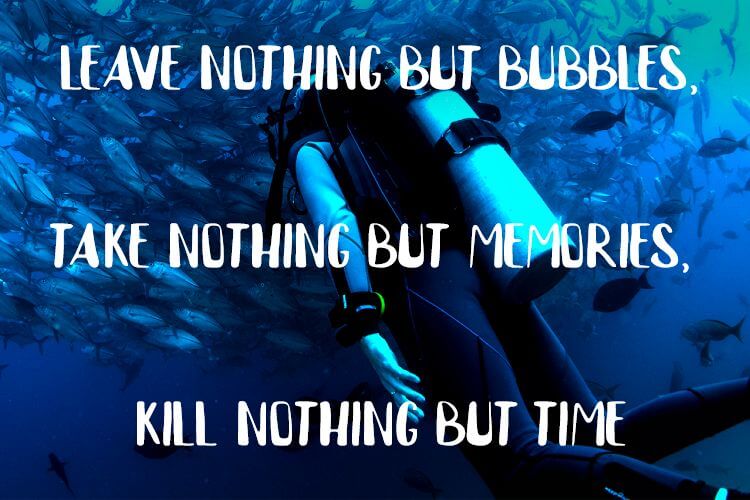 best diving quotes
