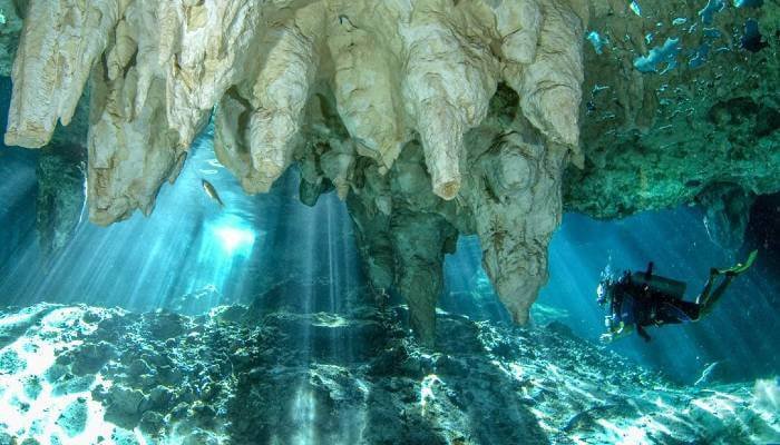 diving at dos ojos