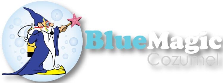 blue magic scuba dive shop