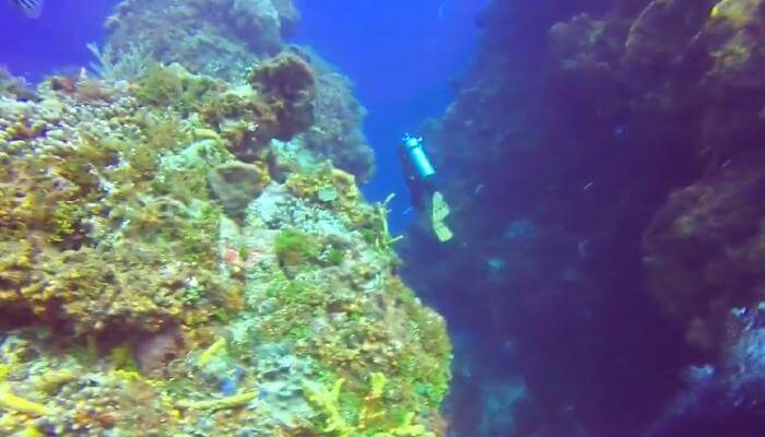 columbia wall diving