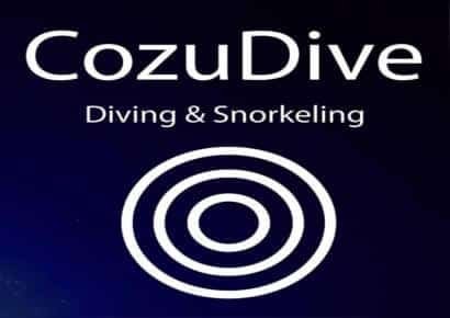 cozudive