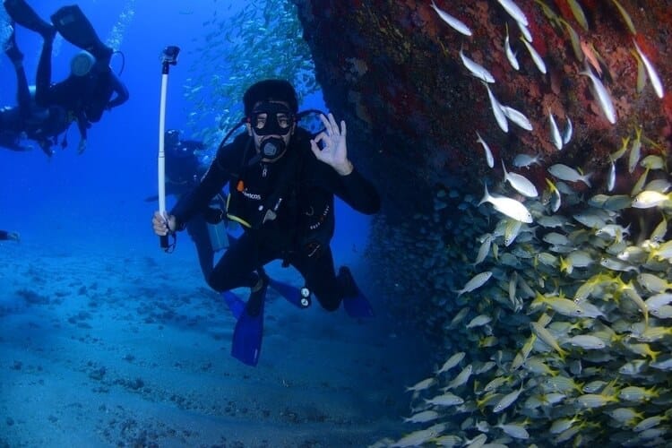 best diving in cozumel