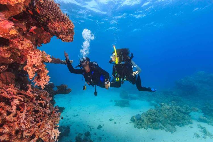 best cancun dive sites