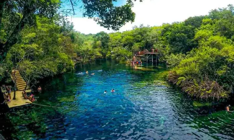 jardin del eden cenote