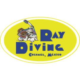 ray diving cozumel