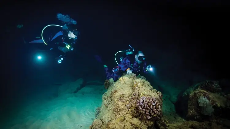 scuba divers at night