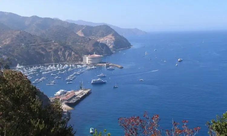 catalina island california