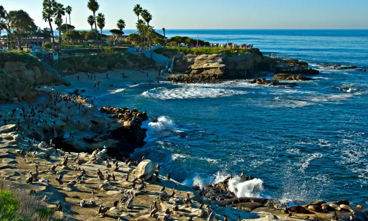 la jolla cove - san diego