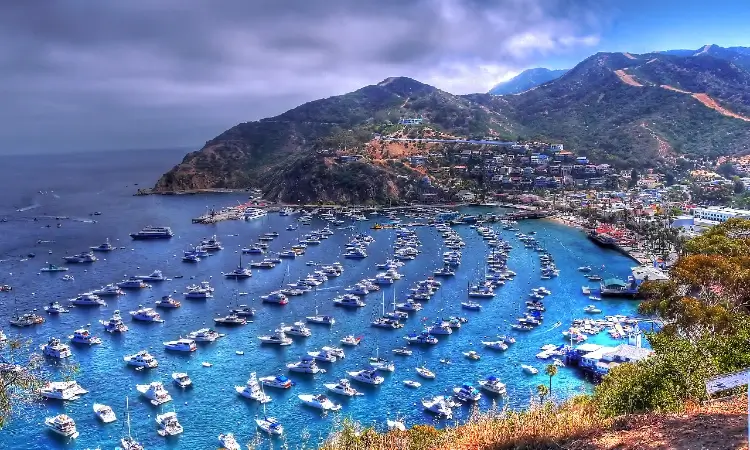 santa catalina island