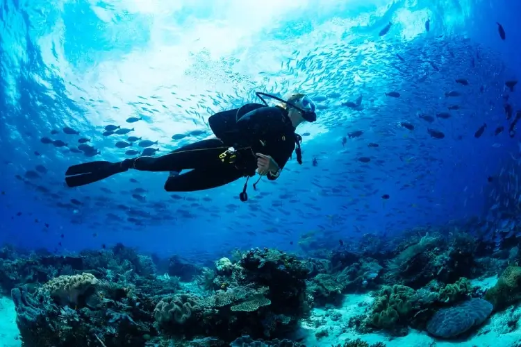 scuba diving sites in hawaii