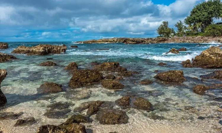 sharks cove oahu