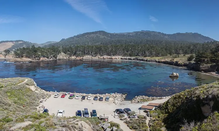 whalers cove point lobos