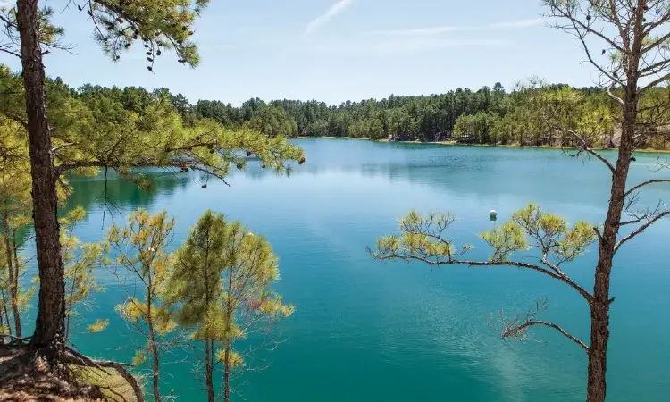 blue lagoon huntsville