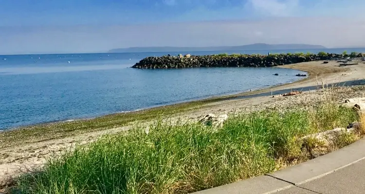 edmonds underwater park washington