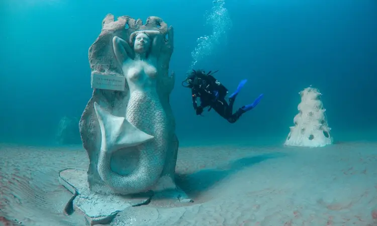 1000 mermaids reef project