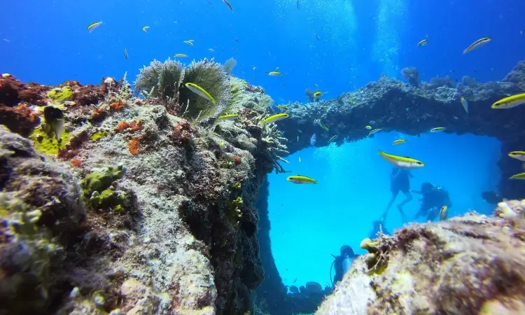 neptun memorial reef