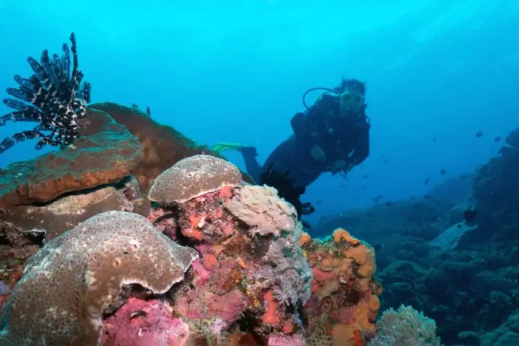 pensacola florida scuba diving