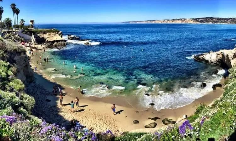 la jolla cove san diego