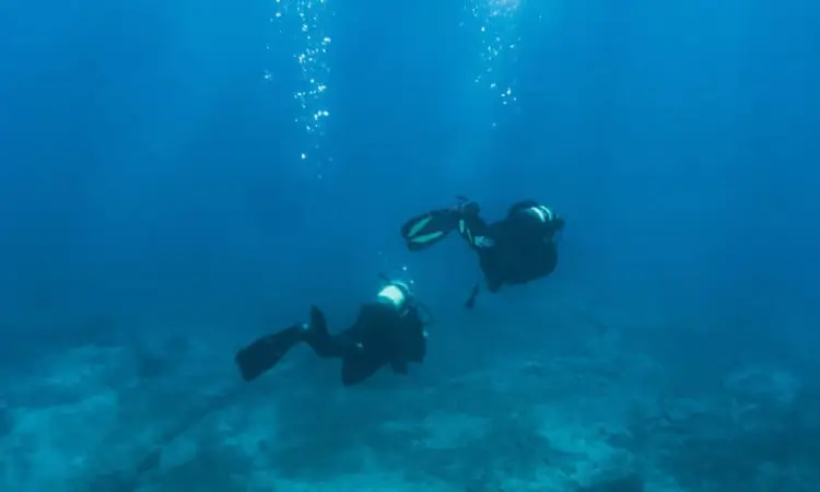 lake tahoe diving