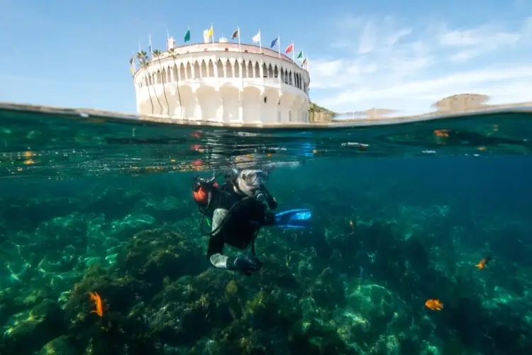 diving at casino point, catalina island