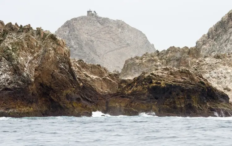 farallon islands