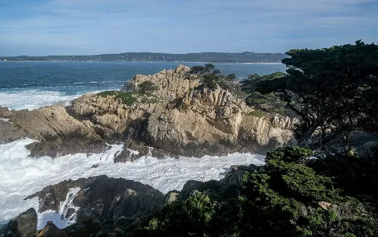 Point Lobos State Natural Reserve