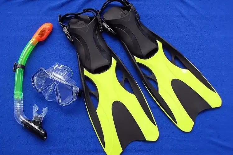 should you buy or rent snorkeling gear