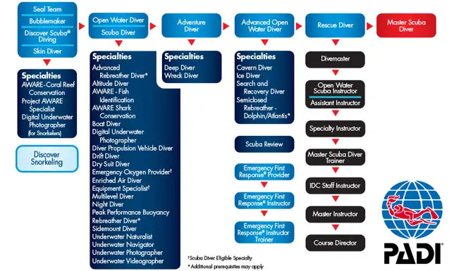 padi certification levels chart