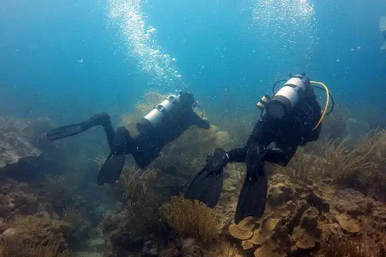 certified scuba divers