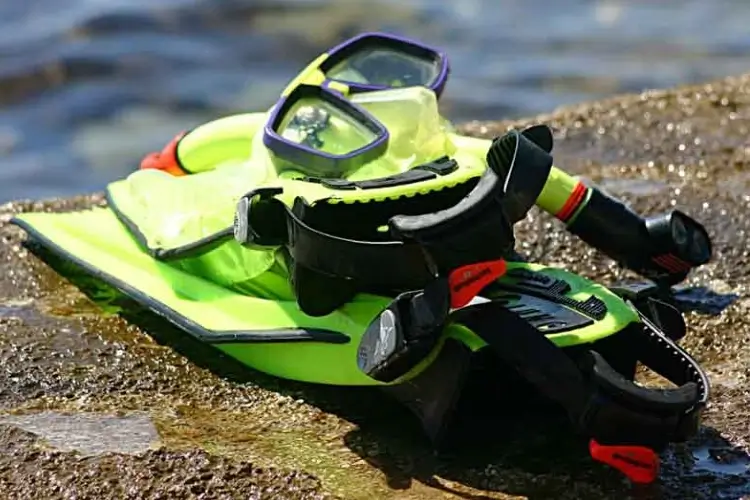 clean snorkel gear