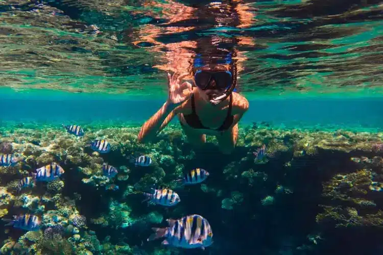 communication while snorkeling