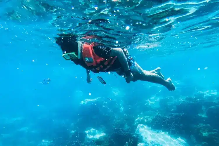 snorkeling when its windy