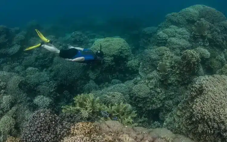 snorkel underwater for longer