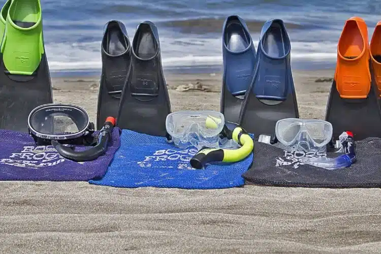 short or long fins for snorkeling