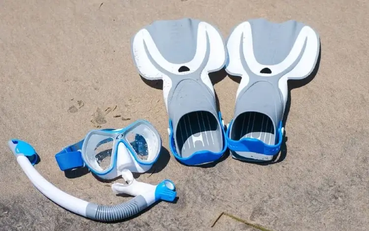 short fins for snorkeling